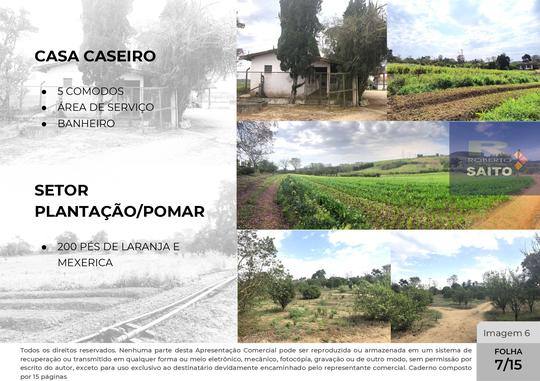 Apresentação — Sítio com infraestrutura em área de 57.410,00 m² — imagem 7